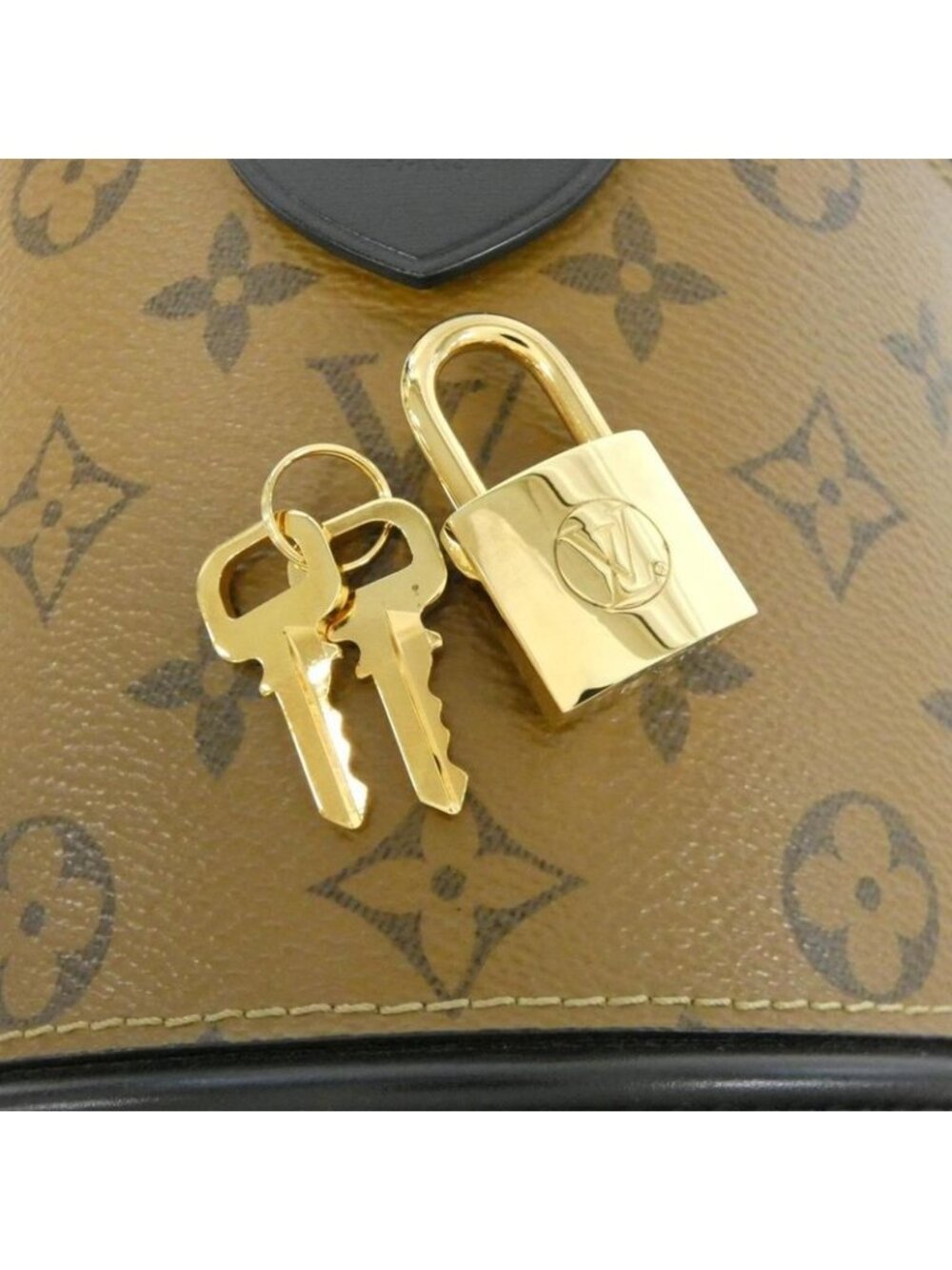 Louis Vuitton Monogram Reverse Cannes Bag - Picture 4 of 10